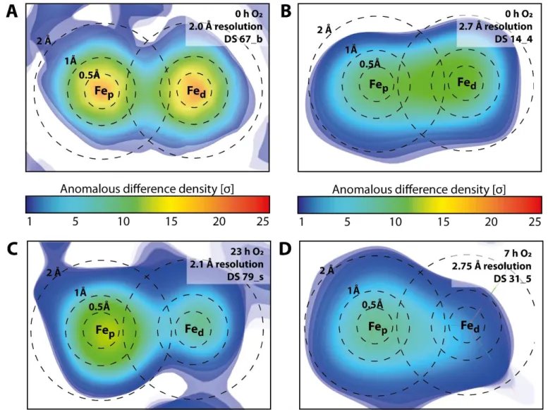 Figure S8: 2D heatmaps of anomalous difference density of simulated annealing omit maps of a plane through the Fe atoms of  the 2Fe H  of select datasets
