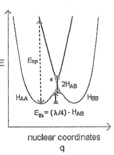 Figure 1.4 Illustration the of first-order potential energy surfaces for the reactants 