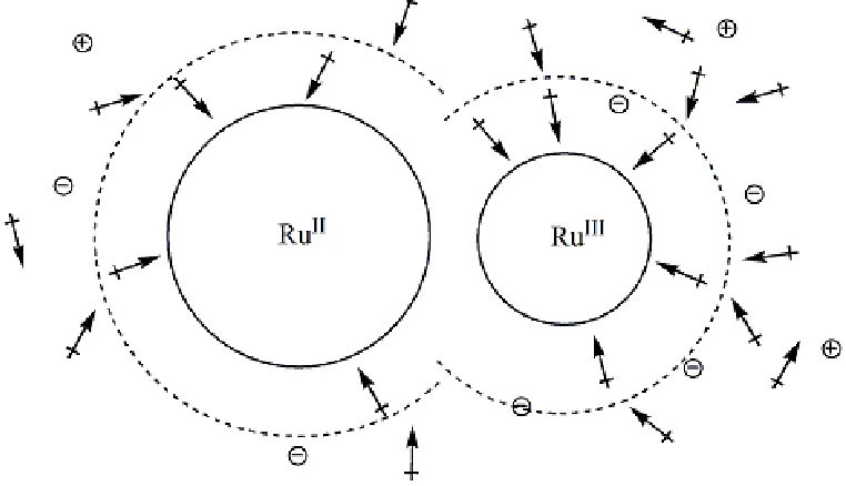 Figure 1.8  Solvent dipoles representing the first and second hydration spheres and the counter ions forming the Debye-Hückel “ion atmosphere” around the reactant ions, [(NH3)5RuIIL]2+ and [(NH3)5RuIIIL]3+