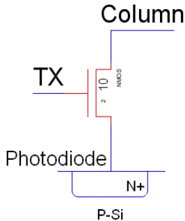 Figure 1.2 A schematic diagram for a CMOS passive pixel [3]. 