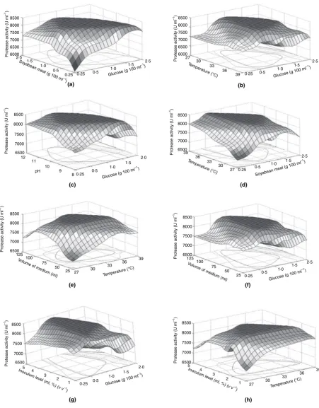 Figure 4 Effect of selected fermentation factors interactions on alkaline protease production by isolatedvstioned onbean meal (b) Glucose Bacillus circulans
