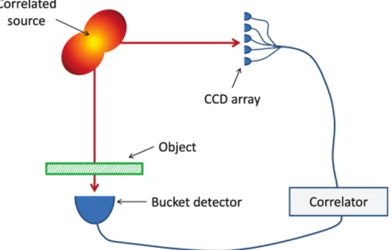 FIG. 9. (adapted from [13]) a) The two outputs of the beam splitter. The image of the cat shows the area where  inter-ference occurs