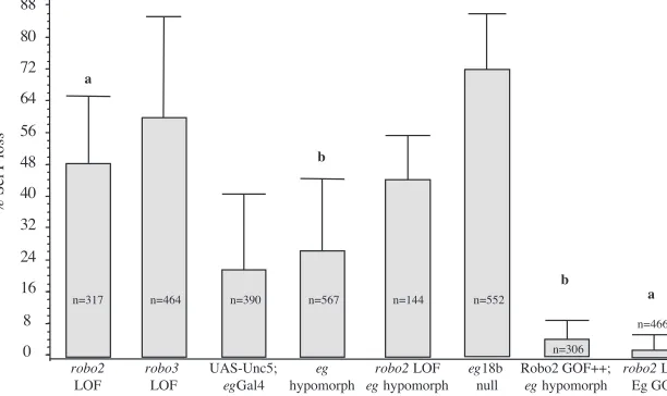 Fig. 6. Overexpression of Robo2 rescues an axon guidance defects. (C) Expression of one copy of Robo2 (EP2582, Robo gain of function) with one copy of prevents axons from crossing the midline but does not disrupt SerT activity