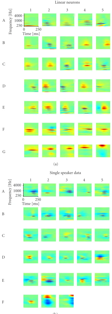Figure 4: Dependence on the neuron model and the dataset. (a)The representative STRFs of linear neurons are shown