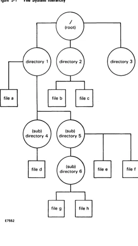 Figure 3-1 File System Hierarchy 