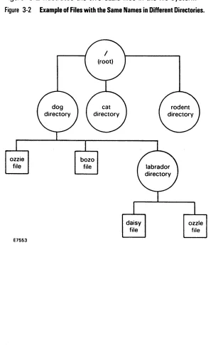 Figure by the correct path name, there will be no confusion. 3-2 illustrates the two ozzie files in the file system
