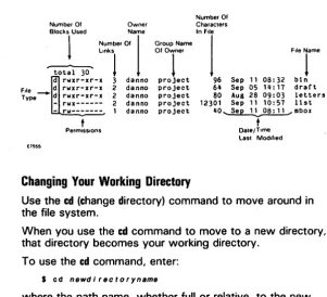 Figure 3-4 Output Produced by the Is -I Command 