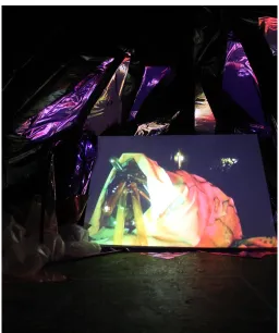 Figure 1: Paint Thing, 2012, Installation, video, plastic tarp, pink trash bags. 