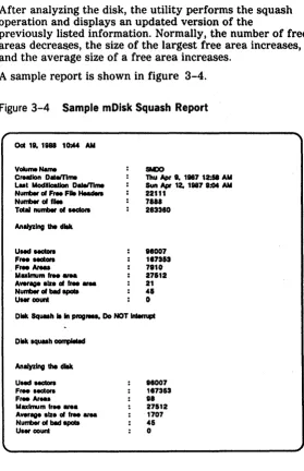 Figure 3-4 Sample mDisk Squash Report 