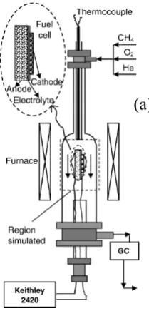 Figure 2-1. Illustration of the single-chamber fuel cell 