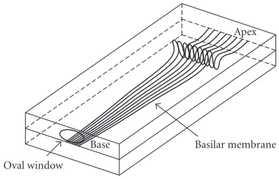 Figure 2: Illustration of a sine wave travelling through a simpliﬁedbox model of an uncoiled cochlea (adapted from [2]).