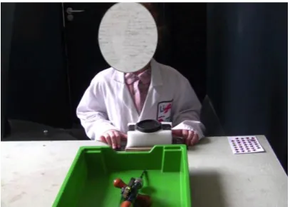 Figure 6-2. Tools and materials used in the making activity. For the vehicle’s body, children chose among the piece of foam, milk bottle, and egg carton (left)