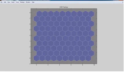 Figure 4.7 SOM Topology 