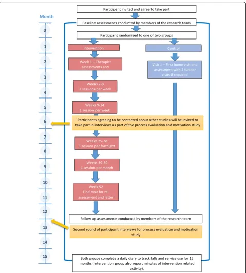 Fig. 2 Overview of participant-related study processes (recruitment, assessment, intervention and interviews)