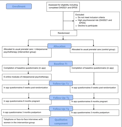 Fig. 1. SPIRIT schedule of enrollment, interventions, and assessments