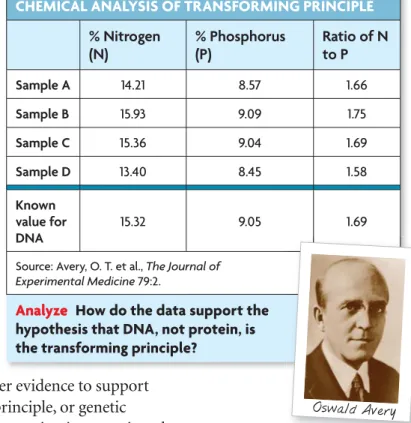 FIGURE 8.2 Avery’s Discoveries
