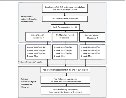 Fig. 1 Flowchart summarizing the trial. *According to clinical routine, interventions could be performed on Tuesday/Thursday/Saturday
