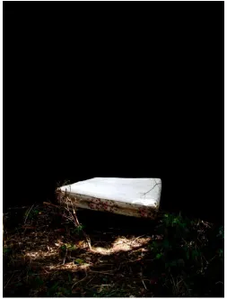 Figure 5.  Sometimes It Happens - The Mattress in the Woods Down the River Bend, 2013, digital image 