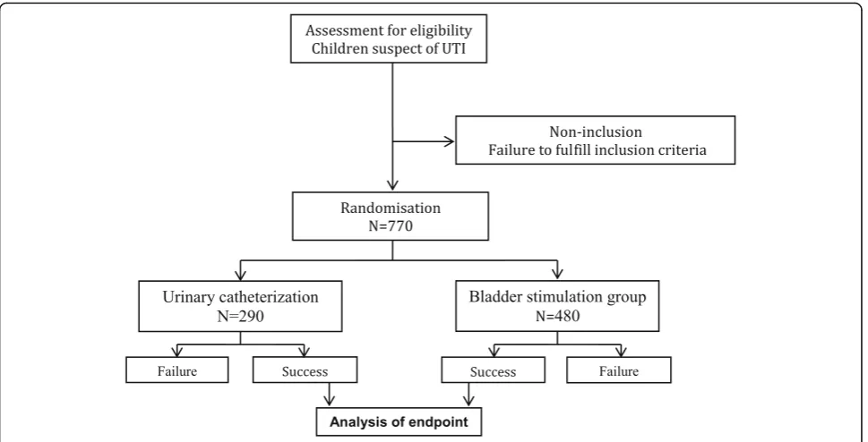 Fig. 3 Flow chart. UTI, urinary tract infection