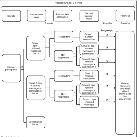 Fig. 1 Study flowchart