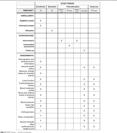 Fig. 2 SPIRIT figure – protocol timeline
