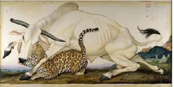 Figure 5. Walton Ford, Chingado, 60” x 119”, 1998 