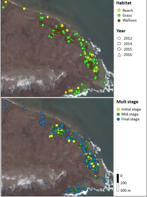 FIGURE 5 Distribution of female southern elephant seals on nonwallow habitats on “good weather” (a) and “bad weather” (b) days, depending on molt season (data from Q′ counts, from 2014 to 2016)