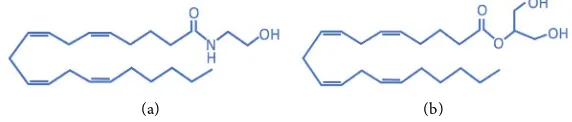 Figure 1. The chemical structures of the endogenous endocannabinoids compounds (a) anandamide, also known as N-arachidonoylethanolamine (AEA) and (b) 2-Arachidonoylglycerol (2-AG)