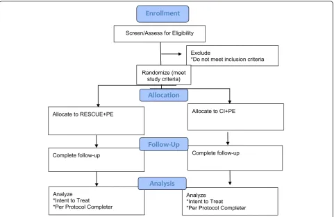 Fig. 1 Consolidated Standards of Reporting Trials (CONSORT) Diagram