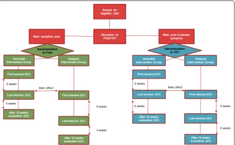 Fig. 1 Flowchart overview of the interventions. PAAI Physiotherapy Activity and Awareness Intervention, Q0 Questionnaire 0, Q1 Questionnaire 1,TRT Teaching Recovery Techniques