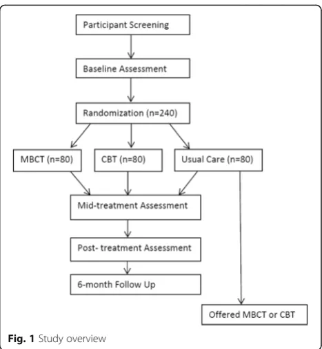 Fig. 1 Study overview