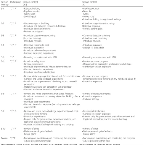Table 1 Overview of the intervention programs