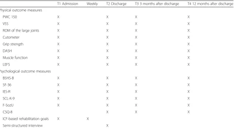 Table 3 Data collected at baseline (T1) and follow-up