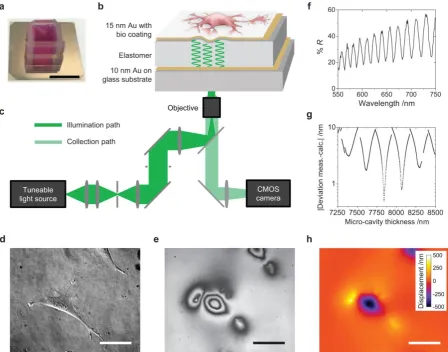 Figure 1 | Elastic Resonator Interference Stress Microscopy (ERISM). (a) Photograph of the micro-cavity with a 