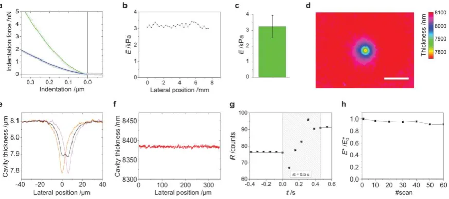 Figure 2 | Validation of ERISM by atomic force microscopy (AFM). (a) Force-distance curves (open symbols) 