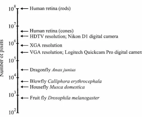 Figure 2.2: data of imagers have Number of pixels in biological and silicon systems. Current state-of-the-art silicon numbers of pixels approaching human retina levels