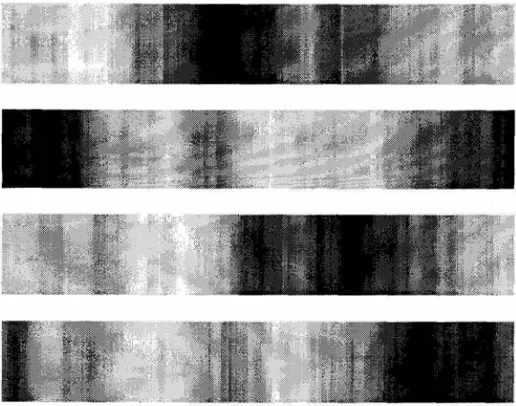 Figure 5.20: Chip response is shown as a function of to 1/1 patterns. Ten random patterns with natural image statistics (see Figure 5.19) were presented to the EMD array