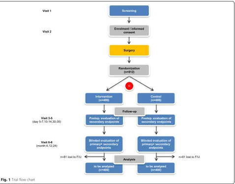Fig. 1 Trial flow chart