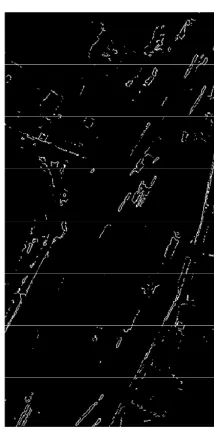 Figure 5. Digital surface model generated by image match-ing. 1 × 1 meter resolution.  