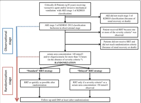Fig. 1 Study design. The AKIKI 2 trial is composed by 2 stages (observational and randomization stages)