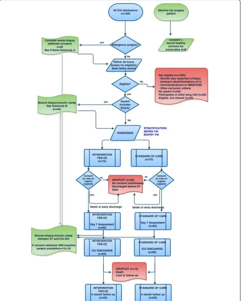 Fig. 1 Planned flowchart of patients enrolled into the trial. D7 day 7, D/C discharge, FES-CE functional electrical stimulation-assisted cycleergometry, ICU intensive care unit, tx treatment, NMS neuromuscular stimulation, PCBE passive cycling-based exercise