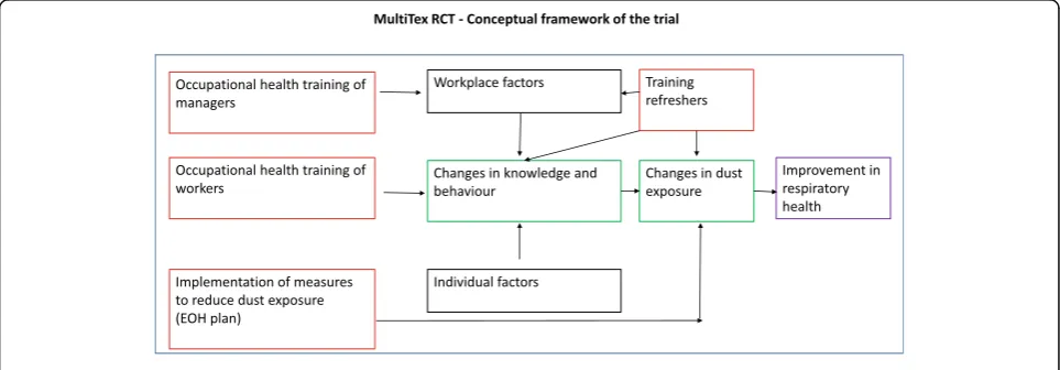 Fig. 1 MultiTex RCT – Conceptual framework of the trial