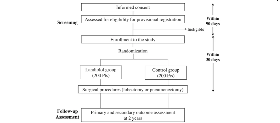 Fig. 1 Summary of the study design