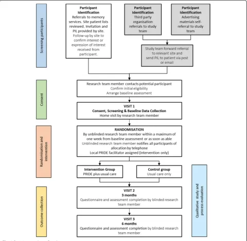 Fig. 1 Participant pathway flowchart