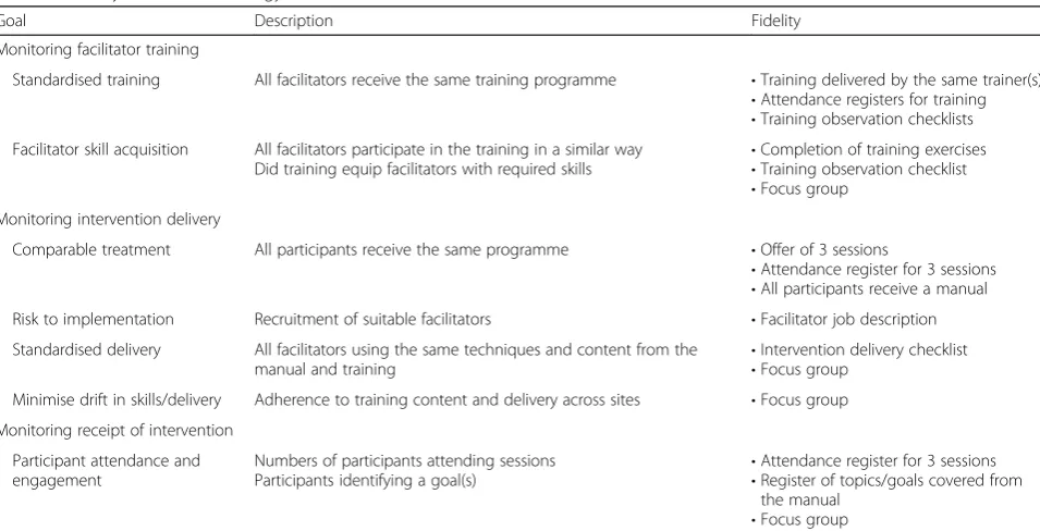 Table 1 Fidelity assessment strategy