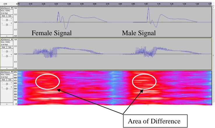 Figure 14:  Audio Signal Modifications 