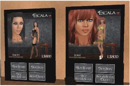 Figure 8: Buying Character Modifications 
