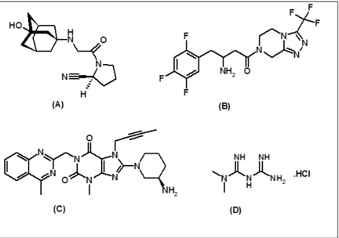 Figure 1: Chemical Structure of Vildagliptin (A), Sitagliptin (B), Linagliptin (C) and Metformin HCl (D)