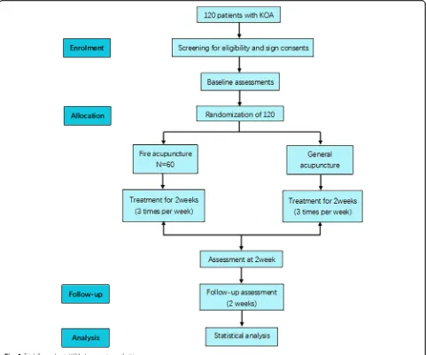 Fig. 1 Trial flow chart. KOA, knee osteoarthritis