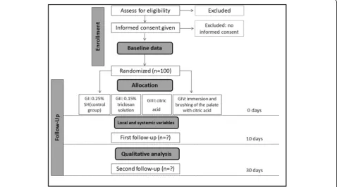 Fig. 1 Flowchart of the randomized clinical trial (RCT) (adapted from the Consolidated Standards of Reporting Trials (CONSORT) statement)